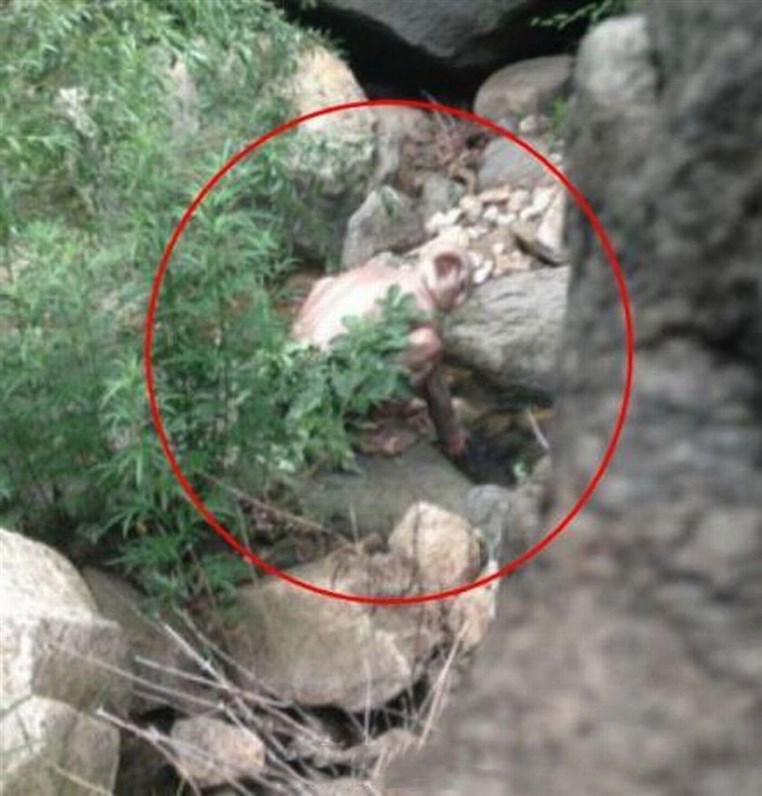 Mystery MONSTER spotted near Great Wall of China 